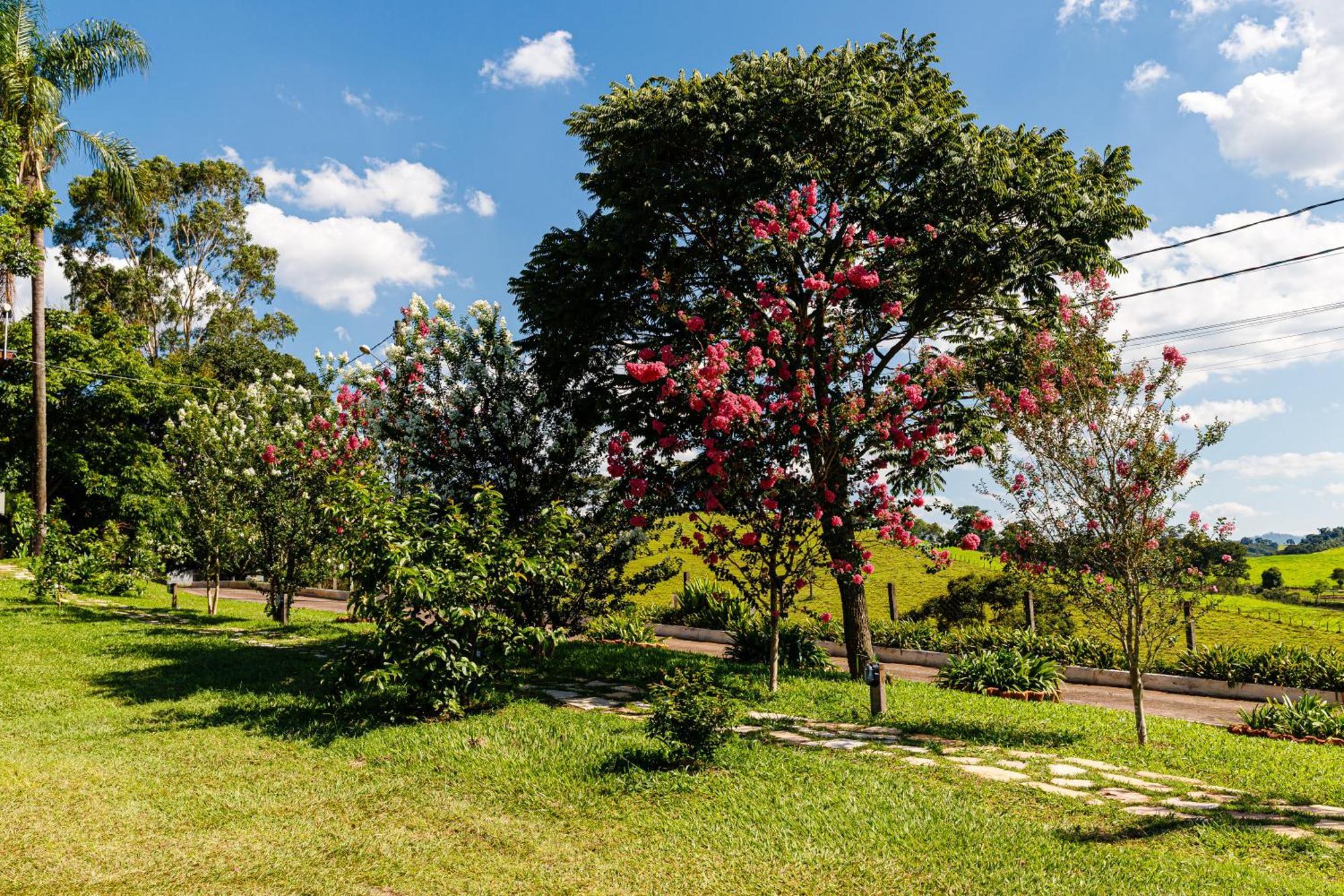 Hotel Morro De Santo Agostinho Lindóia エクステリア 写真